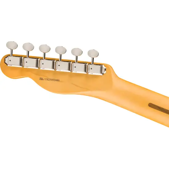 Fender AM Pro CLSC Tele MN FLPB