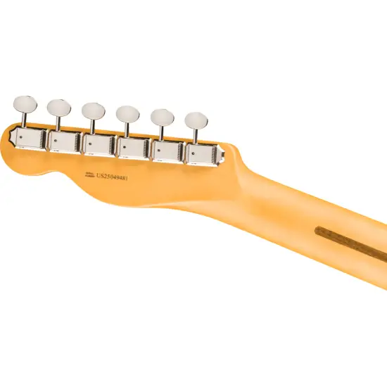 Fender AM Pro CLSCHotshot Tele SSS MN FLPB