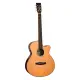 Tanglewood Rosewood Smart TRS4CE