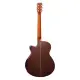 Tanglewood Rosewood Smart TRS4CE