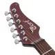 Cort G300 Pro Vivid Burgundy