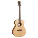 Cort Arium Orchestral Open Pore c/Saco