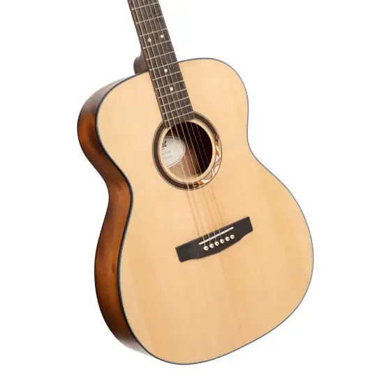 Cort Arium Orchestral Open Pore c/Saco