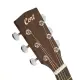 Cort Arium Orchestral Open Pore c/Saco