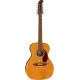 Fender Villager 12 String WN AGN