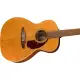 Fender Villager 12 String WN AGN