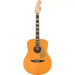 Fender Palomino Vintage AFN c/estojo