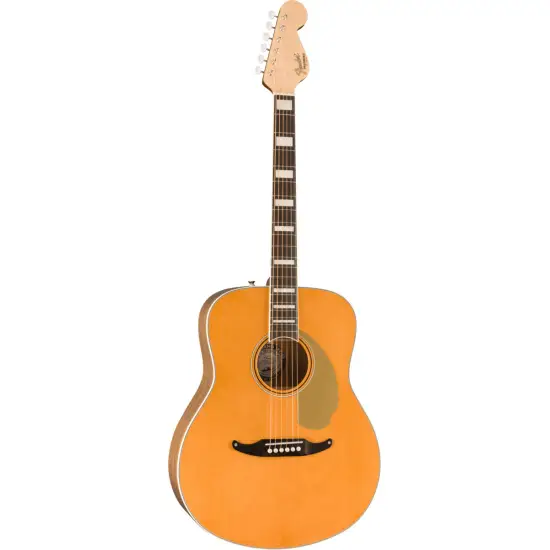 Fender Palomino Vintage AFN c/estojo