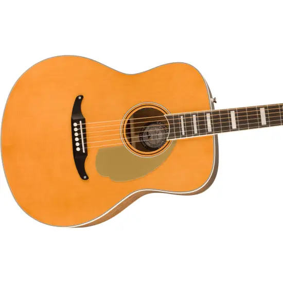 Fender Palomino Vintage AFN c/estojo