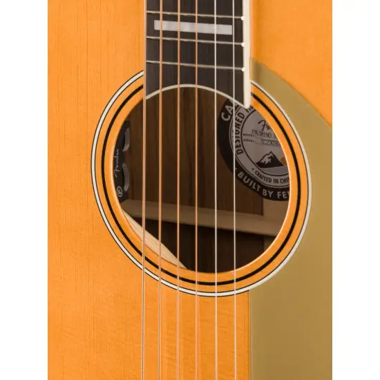 Fender Palomino Vintage AFN c/estojo
