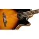 Fender FA 450CE Bass LF 3 Color Sunburst
