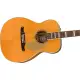 Fender Malibu Vintage AGN c/estojo