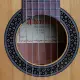 Alhambra 1C HT Hybrid Terra c/ saco
