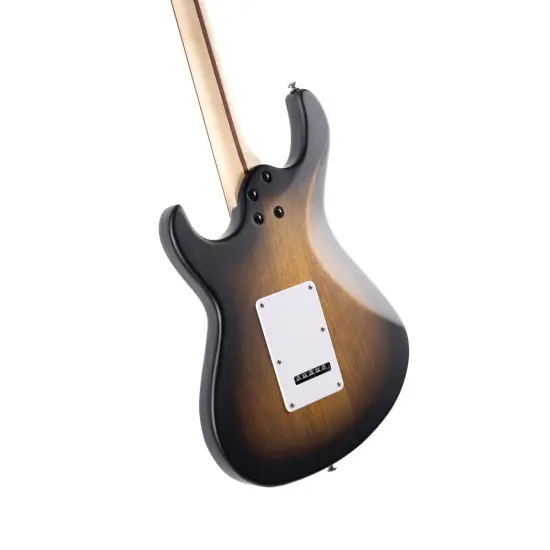 Cort G110 Open Pore Sunburst