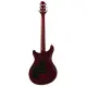Sire Larry Carlton Q3 TS
