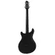 Sire Larry Carlton Q3 BLK