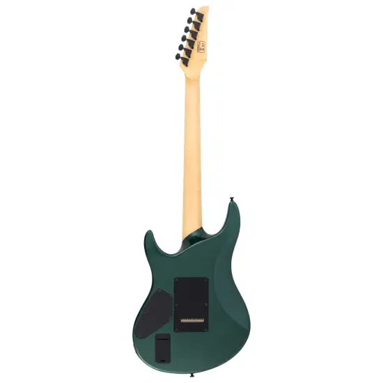 Sire Larry Carlton Y10 MGR