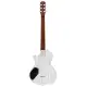 Sire Larry Carlton I5H I. Silver