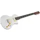 Sire Larry Carlton I5H I. Silver