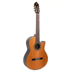 Sulayr Lattice Cutaway