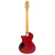 Sire Larry Carlton I5T CAR
