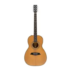 Sire Larry Carlton A4 Parlor NT