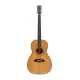 Sire Larry Carlton A4 Parlor NT