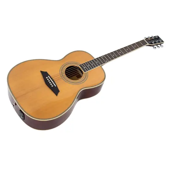 Sire Larry Carlton A4 Parlor NT