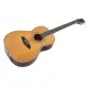Sire Larry Carlton A4 Parlor NT