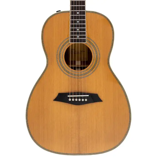 Sire Larry Carlton A4 Parlor NT
