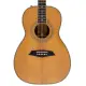 Sire Larry Carlton A4 Parlor NT