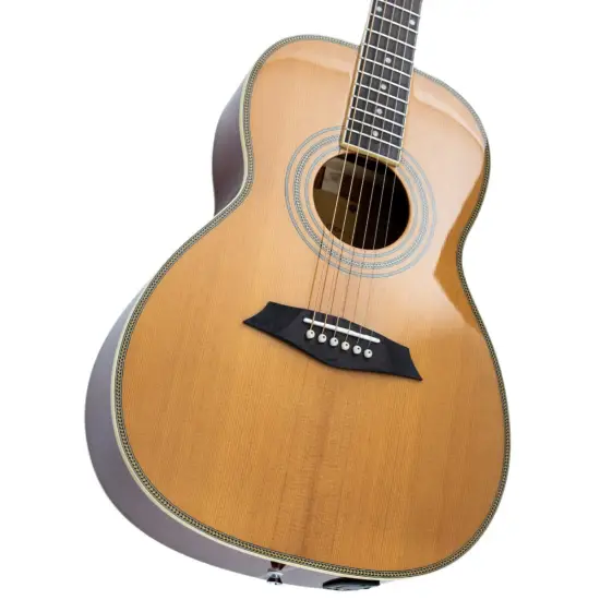 Sire Larry Carlton A4 Parlor NT