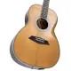 Sire Larry Carlton A4 Parlor NT