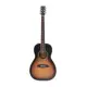 Sire Larry Carlton A4 Parlor VS