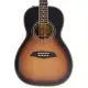 Sire Larry Carlton A4 Parlor VS