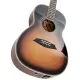 Sire Larry Carlton A4 Parlor VS