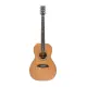 Sire Larry Carlton A3 Parlor NT