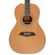 Sire Larry Carlton A3 Parlor NT