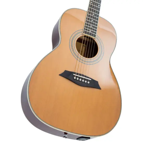 Sire Larry Carlton A3 Parlor NT