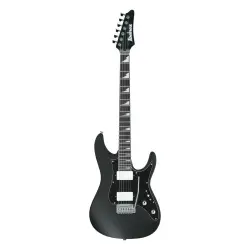 Ibanez BER10 Bernth Signature