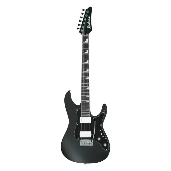 Ibanez BER10 Bernth Signature