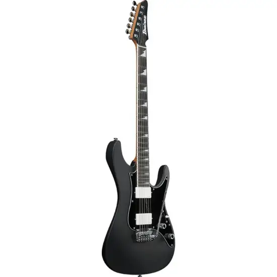 Ibanez BER10 Bernth Signature