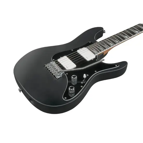 Ibanez BER10 Bernth Signature