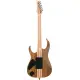 Ibanez IV2RG Visions RG