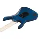 Ibanez Prestige RG653DX TDF