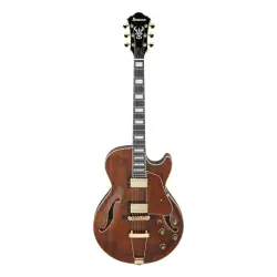 Ibanez Artcore Expressionist AG95MG DA