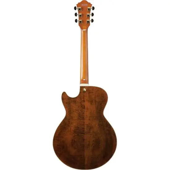 Ibanez Artcore Expressionist AG95MG DA