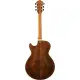 Ibanez Artcore Expressionist AG95MG DA