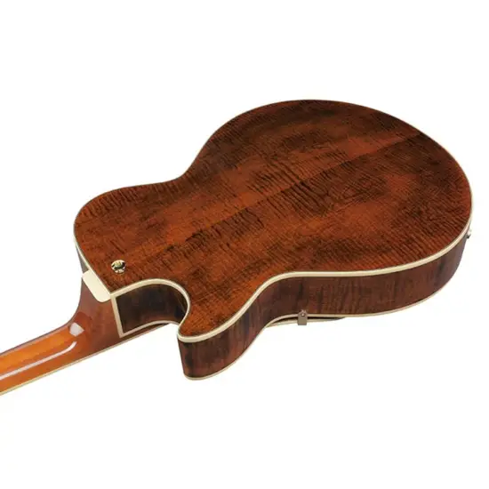 Ibanez Artcore Expressionist AG95MG DA