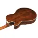 Ibanez Artcore Expressionist AG95MG DA